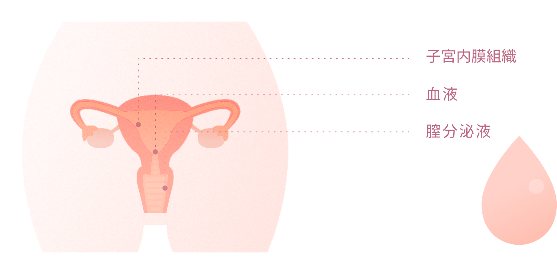 子宮内膜組織 血液 膣分泌液