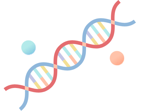 HPVの有無をDNAレベルでチェック