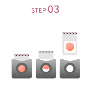 STEP03